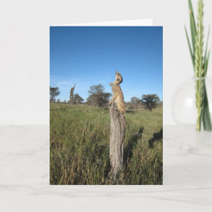 KMP Kaart 2 - Monkulus