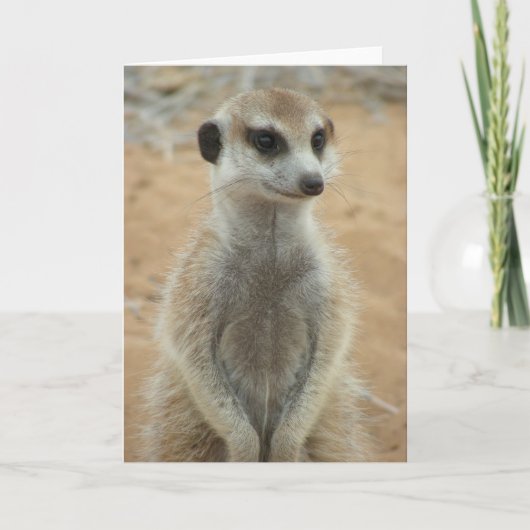 KMP Kaart 3 - Hemulen Moomins (Voorkant)