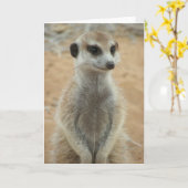 KMP Kaart 3 - Hemulen Moomins (Gele Bloem)