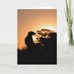 KMP Kaart 5 - de zonsondergang van Flava Flav