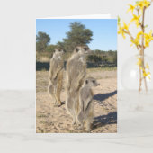 KMP Kaart 7 - Aztecs (Gele Bloem)