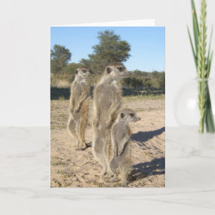 KMP Kaart 7 - Aztecs