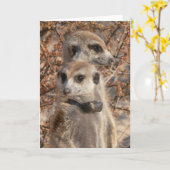 KMP Kaart Hallo 4 - Jo Jo (Gele Bloem)