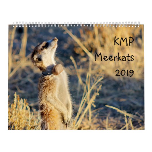 KMP-kratten - kalender 2019 (Hoes)