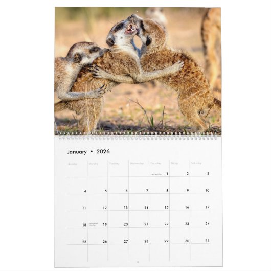 KMP-kratten - kalender 2019 (Jan 2026)