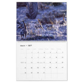 KMP-kratten - kalender 2019 (Mar 2027)
