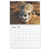 KMP Meerkat 2025 Kalender (Feb 2027)