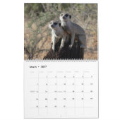 KMP Meerkat 2025 Kalender (Mar 2027)