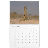 KMP Meerkat 2025 Kalender (Jan 2027)