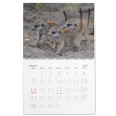KMP Meerkats 2013 Agenda Kalender (Mar 2027)