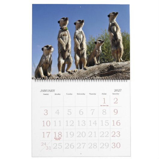 KMP Meerkats 2013 Agenda Kalender (Jan 2027)