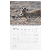 KMP Meerkats 2013 Agenda Kalender (Feb 2027)