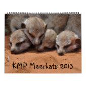 KMP Meerkats 2013 Agenda Kalender (Hoes)