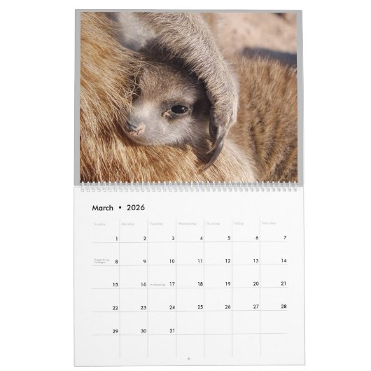 KMP Meerkats - 2020 Kalender (Mar 2026)