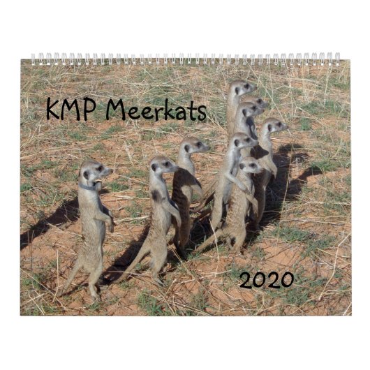 KMP Meerkats - 2020 Kalender (Hoes)
