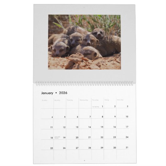 KMP Meerkats - 2020 Kalender (Jan 2026)