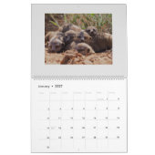KMP Meerkats - 2020 Kalender (Jan 2027)