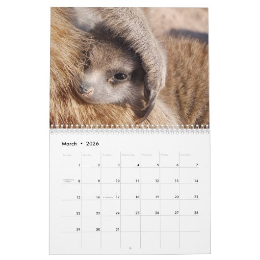 KMP Meerkats - 2020 Kalender (Mar 2026)