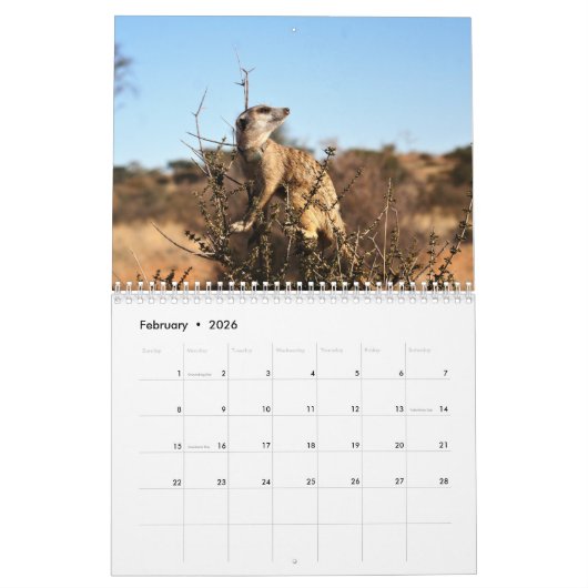 KMP Meerkats - 2020 Kalender (Feb 2026)