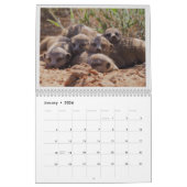 KMP Meerkats - 2020 Kalender (Jan 2026)
