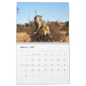 KMP Meerkats - 2020 Kalender (Feb 2027)