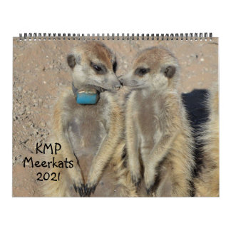 KMP Meerkats 2021 Kalender