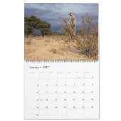 KMP Meerkats 2021 Kalender (Jan 2027)