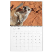 KMP Meerkats 2021 Kalender (Mar 2026)