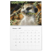 KMP Meerkats 2022 Agenda Kalender (Feb 2027)