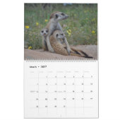 KMP Meerkats 2022 Agenda Kalender (Mar 2027)