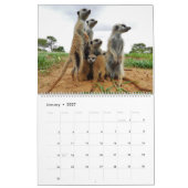 KMP Meerkats 2022 Agenda Kalender (Jan 2027)