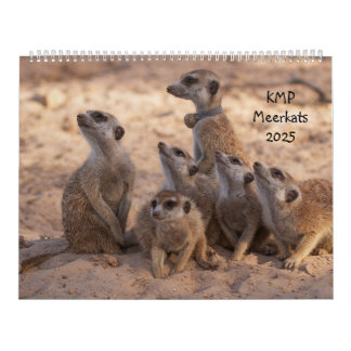 KMP Meerkats 2025 Kalender