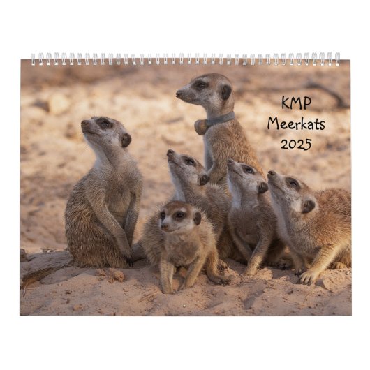 KMP Meerkats 2025 Kalender (Hoes)