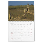 KMP Meerkats - Agenda 2009 Kalender (Mar 2027)