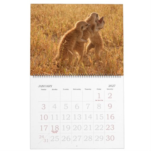 KMP Meerkats - Agenda 2009 Kalender (Jan 2027)