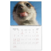 KMP Meerkats - Agenda 2009 Kalender (Feb 2027)