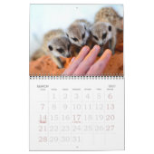 KMP Meerkats - Agenda 2015 Kalender (Mar 2027)