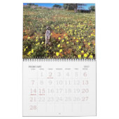 KMP Meerkats - Agenda 2015 Kalender (Feb 2027)