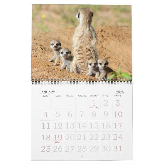 KMP Meerkats - Agenda 2015 Kalender (Jan 2026)