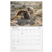 KMP Meerkats - Agenda 2016 Kalender (Feb 2027)
