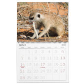 KMP Meerkats - Agenda 2016 Kalender (Mar 2027)