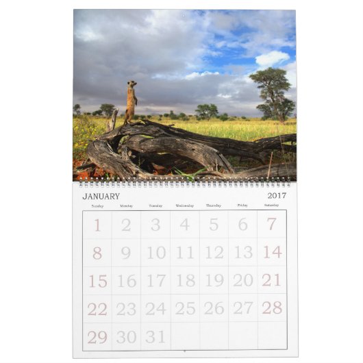 KMP Meerkats - Agenda 2016 Kalender (Jan 2017)