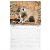 KMP Meerkats - Agenda 2016 Kalender (Mar 2017)