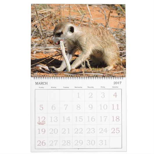 KMP Meerkats - Agenda 2016 Kalender (Mar 2017)