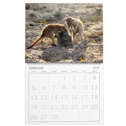 KMP Meerkats - Agenda 2016 Kalender (Feb 2017)