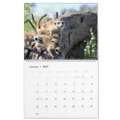 KMP Meerkats - Agenda 2017 Kalender (Jan 2027)