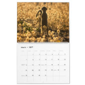 KMP Meerkats - Agenda 2017 Kalender (Mar 2027)