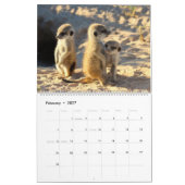 KMP Meerkats - Agenda 2017 Kalender (Feb 2027)