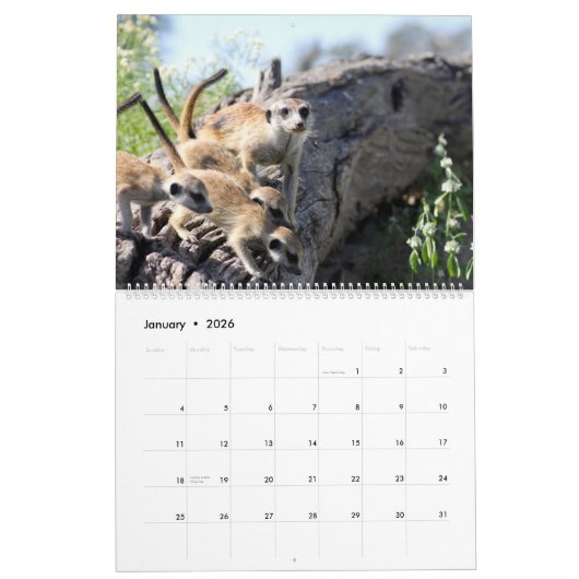 KMP Meerkats - Agenda 2017 Kalender (Jan 2026)