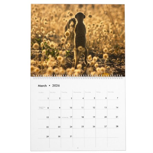 KMP Meerkats - Agenda 2017 Kalender (Mar 2026)